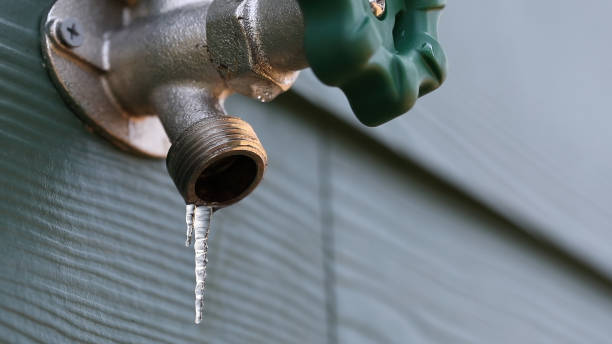Best Clogged Drain Plumber  in Pace, FL